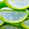 Surprising Aloe Vera Benefits You Did Not Know in 2024