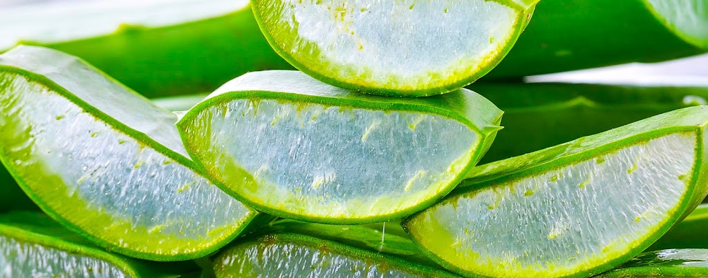 Surprising Aloe Vera Benefits You Did Not Know in 2024