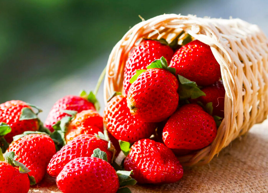 Simple Techniques for Growing Juicy Strawberries in Your Backyard